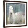 Serenity White-Kimberly Allen-Framed Photo