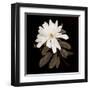 Serenity-Jan Sacca-Framed Art Print