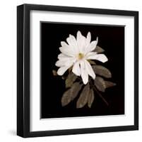 Serenity-Jan Sacca-Framed Art Print