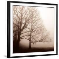 Serenity-Erin Clark-Framed Giclee Print