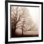 Serenity-Erin Clark-Framed Giclee Print