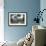 Serenity-Bill Saunders-Framed Giclee Print displayed on a wall