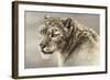 Serenity-Kalon Baughan-Framed Art Print