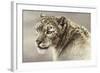 Serenity-Kalon Baughan-Framed Art Print