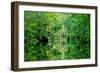 Serenity-Bruce Nawrocke-Framed Art Print