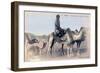 Serere, the Sahel, Senegal, 20th Century-Albaret-Framed Giclee Print