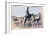 Serere, the Sahel, Senegal, 20th Century-Albaret-Framed Giclee Print