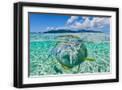 Black Frame