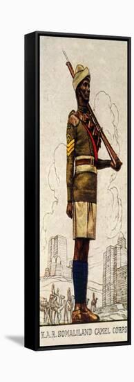 Sergeant of the Somaliland Camel Corps, King's African Rifles, 1938-null-Framed Stretched Canvas
