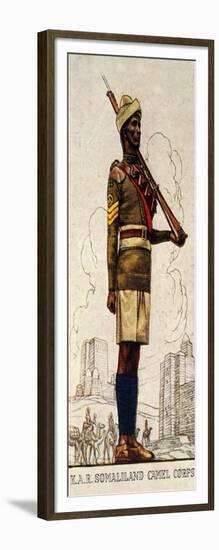 Sergeant of the Somaliland Camel Corps, King's African Rifles, 1938-null-Framed Giclee Print