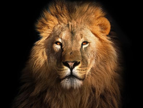Premium Photographic Print, , large