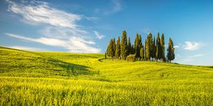 Tuscany at Spring-Sergey Borisov-Photographic Print