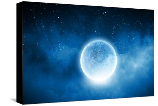 Stretched Canvas Print, , large