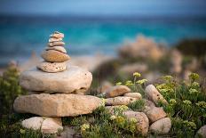 Surfboards Decoration in Garden, Huelo, Hawaii-Sergi Reboredo-Mounted Premium Photographic Print