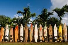 Surfboards Decoration in Garden, Huelo, Hawaii-Sergi Reboredo-Mounted Photographic Print