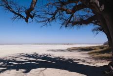 Central Kalahari National Park, Botswana, Africa-Sergio-Photographic Print