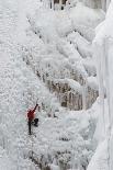 Ice Climbers Scaling Vertical Ice in Ouray Ice Park Near Ouray, Colorado-Sergio Ballivian-Photographic Print