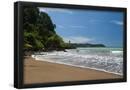 Essential Black