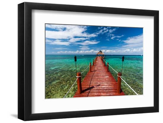Premium Photographic Print, , large