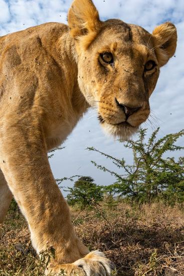 Premium Photographic Print, , large