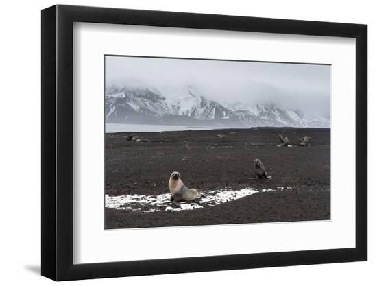 Photographic Print, , large