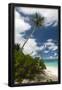 Essential Black