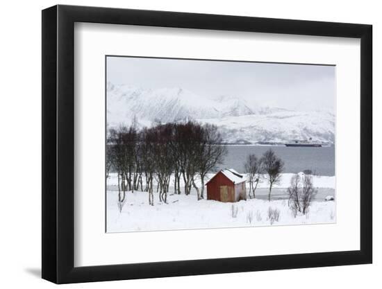 Premium Photographic Print, , large