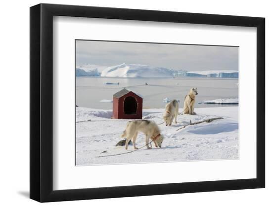Premium Photographic Print, , large