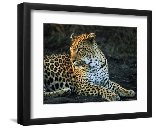 Photographic Print, , large