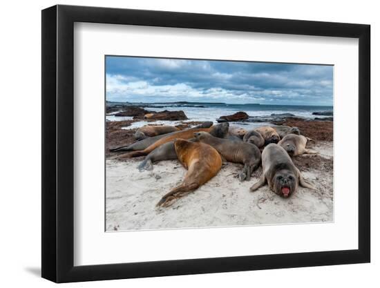 Premium Photographic Print, , large