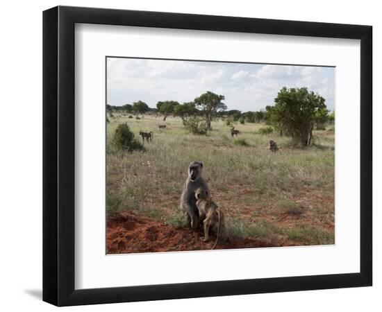 Premium Photographic Print, , large