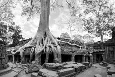 Angkor Wat Cambodia. Ta Prom Khmer Ancient Buddhist Temple in Jungle Forest. Famous Landmark, Place-SergWSQ-Photographic Print