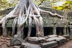Angkor Wat Cambodia. Ta Prom Khmer Ancient Buddhist Temple in Jungle Forest. Famous Landmark, Place-SergWSQ-Photographic Print