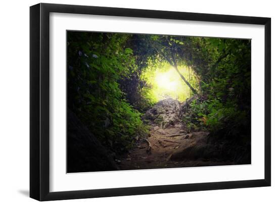 Photographic Print, , large