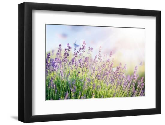 Premium Photographic Print, , large