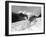 Serie Televisee Lassie 1954-74-null-Framed Photo