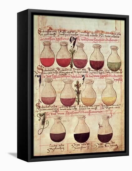 Series of Flagons for Urine Analysis, from "Tractatus De Pestilencia"-M. Albik-Framed Stretched Canvas