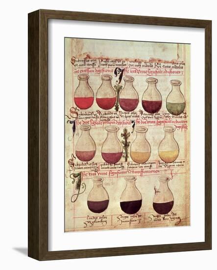 Series of Flagons for Urine Analysis, from "Tractatus De Pestilencia"-M. Albik-Framed Giclee Print