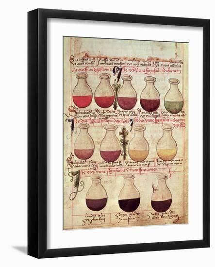 Series of Flagons for Urine Analysis, from "Tractatus De Pestilencia"-M. Albik-Framed Giclee Print