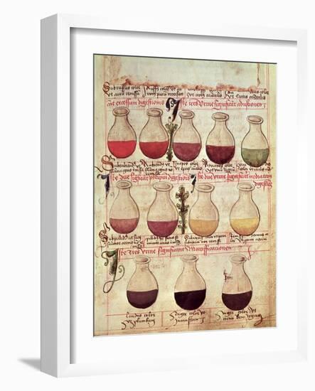 Series of Flagons for Urine Analysis, from "Tractatus De Pestilencia"-M. Albik-Framed Giclee Print