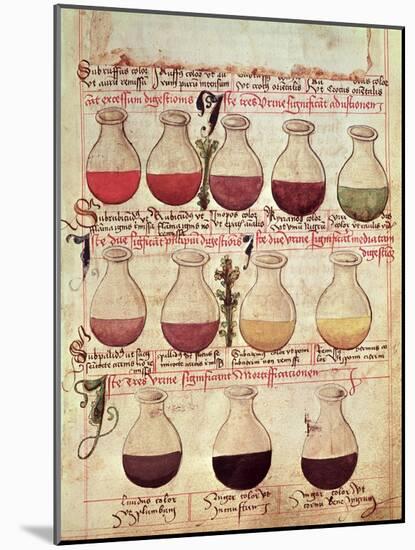 Series of Flagons for Urine Analysis, from "Tractatus De Pestilencia"-M. Albik-Mounted Giclee Print