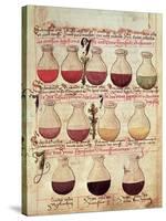 Series of Flagons for Urine Analysis, from "Tractatus De Pestilencia"-M. Albik-Stretched Canvas