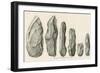 Series of Rejects from the South Mountain Rhyolite Quarry-null-Framed Giclee Print