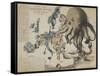 Serio-Comic War Map of Europe for the Year 1877, London-Frederick W Rose-Framed Stretched Canvas