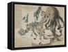 Serio-Comic War Map of Europe for the Year 1877, London-Frederick W Rose-Framed Stretched Canvas