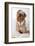 Serious Dog In Glasses-Okssi-Framed Photographic Print