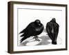 Serious Pigeon Situation, 2012-Nancy Moniz-Framed Giclee Print