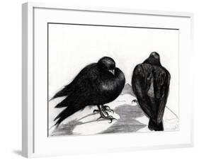 Serious Pigeon Situation, 2012,-Nancy Moniz Charalambous-Framed Giclee Print