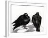 Serious Pigeon Situation, 2012,-Nancy Moniz Charalambous-Framed Giclee Print