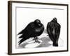 Serious Pigeon Situation, 2012,-Nancy Moniz Charalambous-Framed Giclee Print